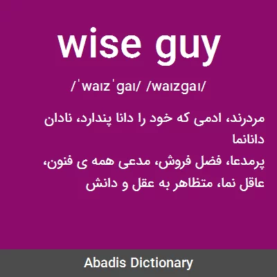 معنی wise guy
